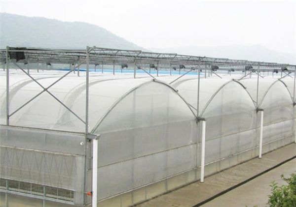 山東溫室大棚廠家
